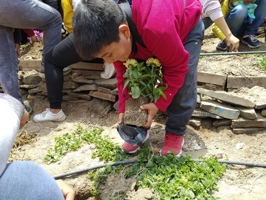 niño naturaleza